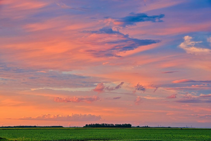 Picture of CANADA-MANITOBA-DUGALD CLOUDS AT SUNSET ON PRAIRIE