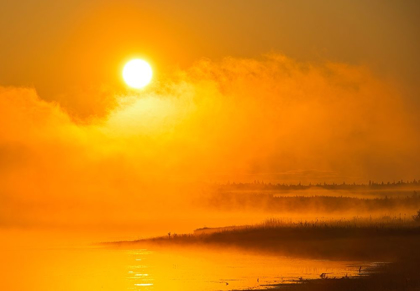 Picture of CANADA-MANITOBA-RIDING MOUNTAIN NATIONAL PARK FOG RISING ABOVE WHIRLPOOL LAKE AT SUNRISE