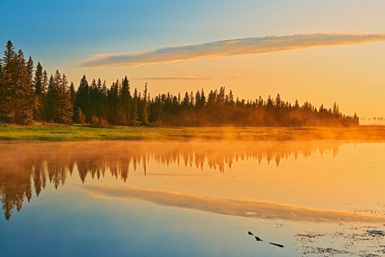 Picture of CANADA-MANITOBA-RIDING MOUNTAIN NATIONAL PARK FOG RISING ABOVE WHIRLPOOL LAKE AT SUNRISE