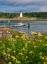 Picture of MAINE-LUBEC MULHOLLAND POINT LIGHTHOUSE AS SEEN FROM THE TOWN OF LUBEC-MAINE