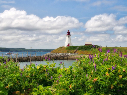 Picture of CANADA-NEW BRUNSWICK-CAMPOBELLO ISLAND MULHOLLAND POINT LIGHTHOUSE