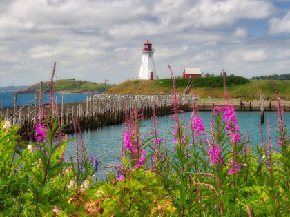 Picture of CANADA-NEW BRUNSWICK-CAMPOBELLO ISLAND MULHOLLAND POINT LIGHTHOUSE