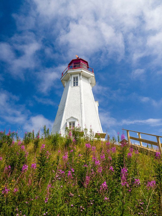 Picture of CANADA-NEW BRUNSWICK-CAMPOBELLO ISLAND MULHOLLAND POINT LIGHTHOUSE