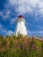 Picture of CANADA-NEW BRUNSWICK-CAMPOBELLO ISLAND MULHOLLAND POINT LIGHTHOUSE