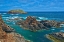 Picture of CANADA-NEWFOUNDLAND-ELLISTON ROCKY SHORELINE ON ATLANTIC OCEAN
