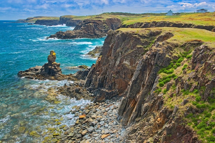 Picture of CANADA-NEWFOUNDLAND-ELLISTON ROCKY SHORELINE ON ATLANTIC OCEAN