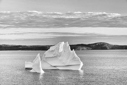 Picture of CANADA-NEWFOUNDLAND-EASTPORT ICEBERGS FLOATING IN SALVAGE BAY OF ATLANTIC OCEAN