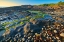 Picture of CANADA-NOVA SCOTIA ROCKY SHORELINE ALONG BAY OF FUNDY