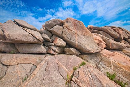 Picture of CANADA-NOVA SCOTIA-CAPE BRETON ISLAND ROCKY SHORELINE ALONG CABOT STRAIT