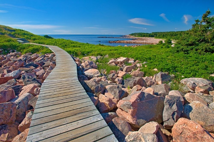 Picture of CANADA-NOVA SCOTIA-CAPE BRETON ISLAND WOODEN WALKWAY ALONG ROCKY SHORELINE