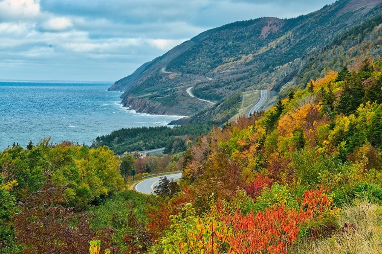 Picture of CANADA-NOVA SCOTIA-CAPE BRETON ISLAND COASTLINE LANDSCAPE ALONG GULF OF ST LAWRENCE