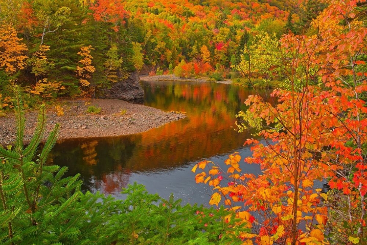 Picture of CANADA-NOVA SCOTIA INDIAN BROOK AND FOREST IN AUTUMN