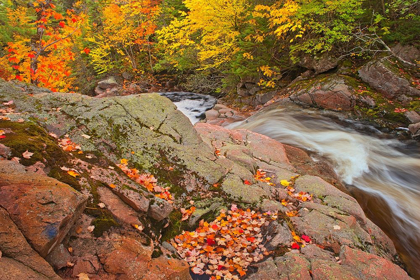 Picture of CANADA-NOVA SCOTIA MARY-ANNE FALLS AND FOREST IN AUTUMN FOLIAGE