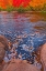 Picture of CANADA-NOVA SCOTIA-CAPE BRETON ISLAND NORTH ASPY RIVER AND FOREST IN AUTUMN