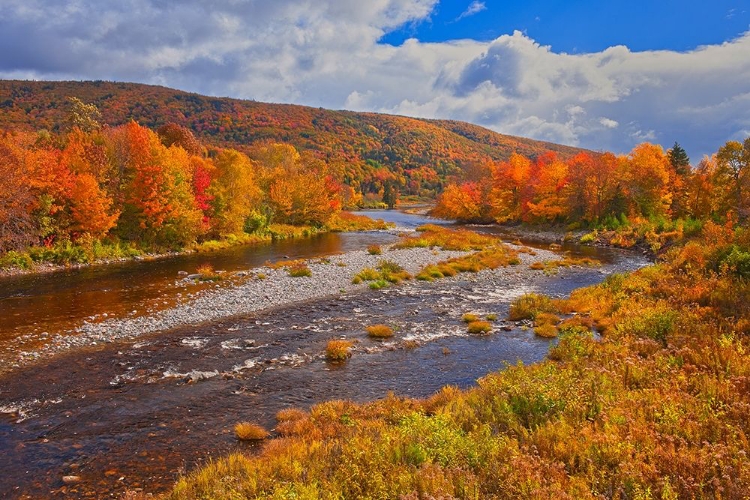 Picture of CANADA-NOVA SCOTIA-CAPE BRETON ISLAND THE NORTH RIVER AND FOREST IN AUTUMN FOLIAGE