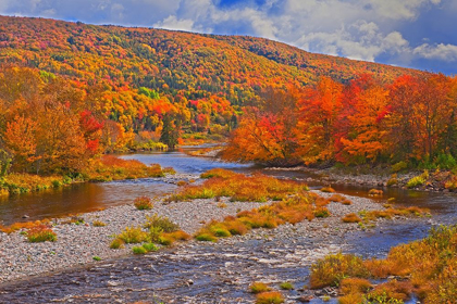 Picture of CANADA-NOVA SCOTIA-CAPE BRETON ISLAND THE NORTH RIVER AND FOREST IN AUTUMN FOLIAGE