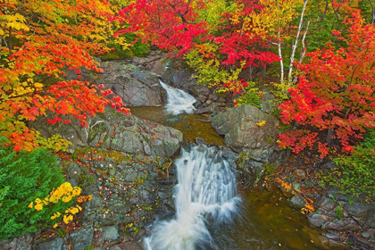 Picture of CANADA-NOVA SCOTIA-CAPE BRETON ISLAND MORRISON BROOK AND FOREST IN AUTUMN FOLIAGE