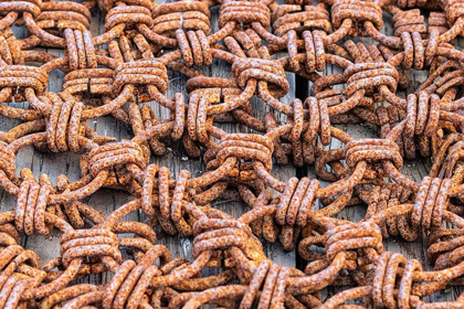 Picture of CHAINS USED FOR FISHING IN NOVA SCOTIA