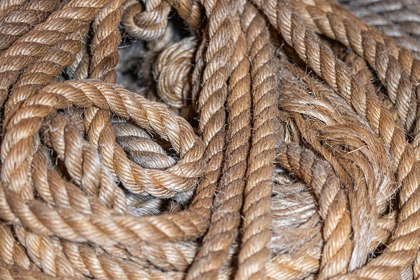 Picture of COILED NATURAL FIBER FISHING ROPE USED IN NOVA SCOTIA FISHING VESSELS
