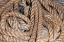 Picture of COILED NATURAL FIBER FISHING ROPE USED IN NOVA SCOTIA FISHING VESSELS