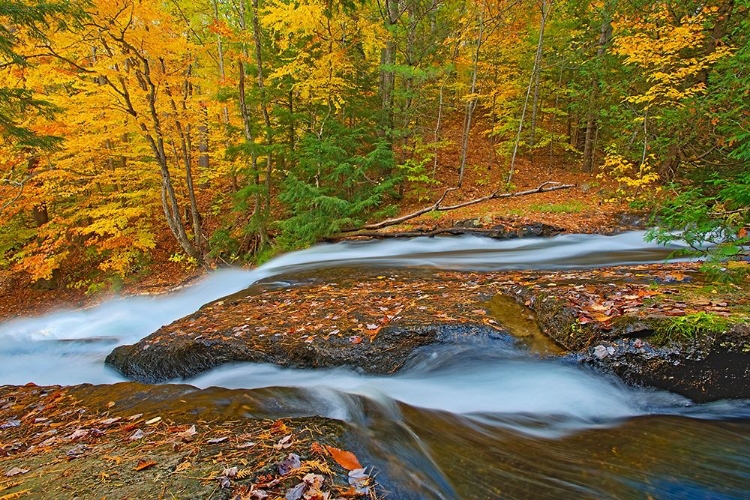 Picture of CANADA-ONTARIO-ULLSWATER WATERFALL AT HATCHERY FALLS ON THE SKELETON RIVER