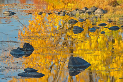 Picture of CANADA-ONTARIO-WHITEFISH AUTUMN COLORS REFLECT IN VERMILION RIVER