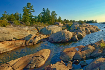 Picture of CANADA-ONTARIO-HONEY HARBOUR TREES ON PRECAMBRIAN SHIELD ROCK