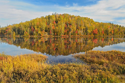 Picture of CANADA-ONTARIO-GOULAIS RIVER FOREST REFLECTION IN LAKE