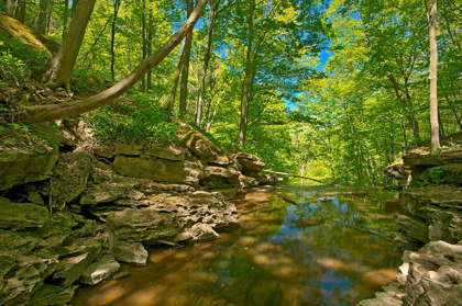 Picture of CANADA-ONTARIO-JORDAN 16 MILE CREEK AT LOUTH FALLS