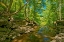 Picture of CANADA-ONTARIO-JORDAN 16 MILE CREEK AT LOUTH FALLS