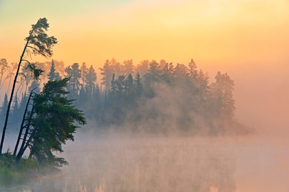 Picture of CANADA-ONTARIO-KENORA FOG AT SUNRISE ON ISABEL LAKE