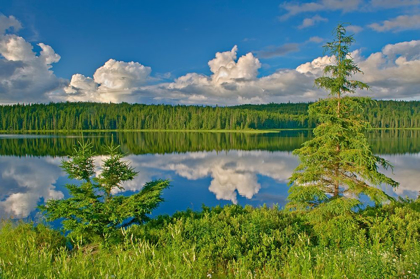 Picture of CANADA-ONTARIO CLOUDS REFLECTED IN TRAIL LAKE