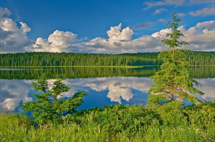 Picture of CANADA-ONTARIO CLOUDS REFLECTED IN TRAIL LAKE