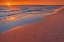 Picture of CANADA-ONTARIO-GRAND BEND SANDY BEACH ON LAKE HURON AT SUNSET