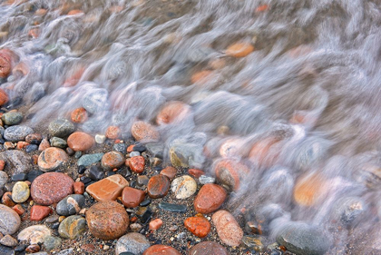 Picture of CANADA-ONTARIO-MARATHON ROCKS AND DRIFTWOOD ON PEBBLE LAKE SUPERIORS BEACH