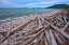 Picture of CANADA-ONTARIO-MARATHON ROCKS AND DRIFTWOOD ON PEBBLE LAKE SUPERIORS BEACH