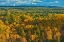 Picture of CANADA-ONTARIO-NEEBING COUNTY FOREST IN AUTUMN