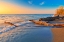 Picture of CANADA-ONTARIO-POINT PELEE NATIONAL PARK DRIFTWOOD ON LAKE ERIE SHORELINE AT SUNRISE