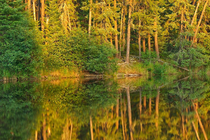 Picture of CANADA-ONTARIO SUNSET ON FOREST REFLECTED IN LAKE