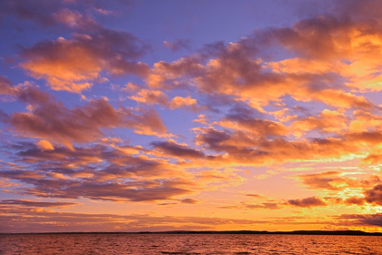 Picture of CANADA-ONTARIO-PAKWASH LAKE PROVINCIAL PARK-PAKWASH LAKE AT SUNSET