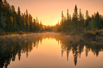 Picture of CANADA-ONTARIO-LAKE SUPERIOR PROVINCIAL PARK SUNRISE FOREST REFLECTION IN WATERWAY