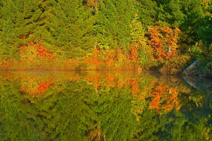 Picture of CANADA-ONTARIO-SUDBURY AUTUMN COLORS REFLECT IN LAKE LAURENTIAN AT SUNRISE