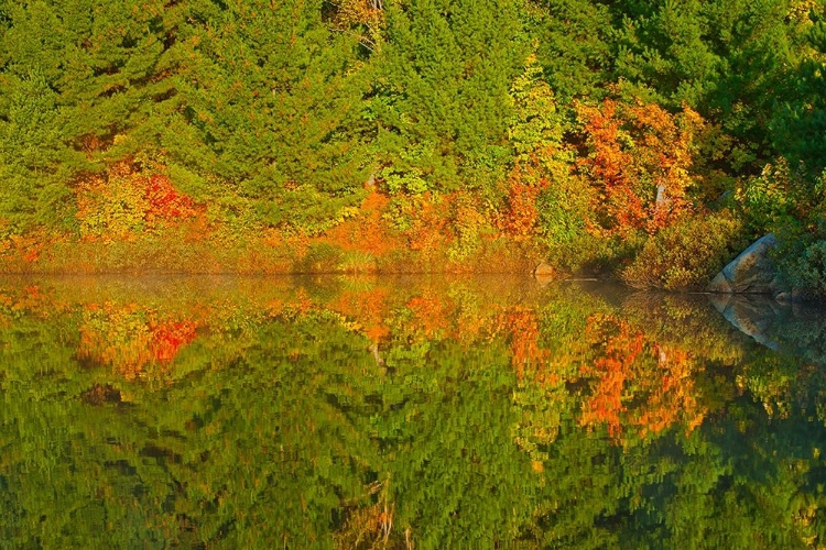 Picture of CANADA-ONTARIO-SUDBURY AUTUMN COLORS REFLECT IN LAKE LAURENTIAN AT SUNRISE