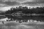 Picture of CANADA-ONTARIO-KENORA DISTRICT BLACK AND WHITE OF CLOUDS REFLECTED IN MIDDLE LAKE