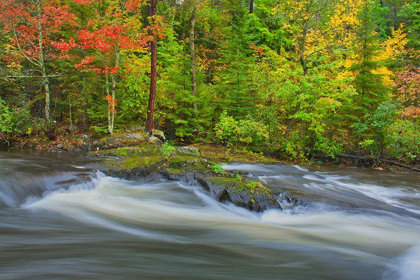 Picture of CANADA-ONTARIO BERRY CREEK LANDSCAPE