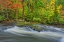 Picture of CANADA-ONTARIO BERRY CREEK LANDSCAPE