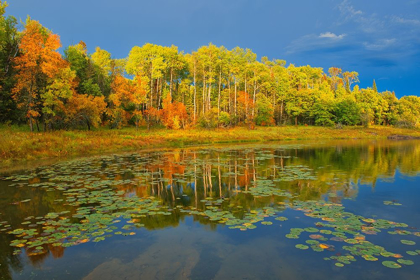 Picture of CANADA-ONTARIO-KENORA DISTRICT FOREST AUTUMN COLORS REFLECT ON MIDDLE LAKE