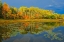 Picture of CANADA-ONTARIO-KENORA DISTRICT FOREST AUTUMN COLORS REFLECT ON MIDDLE LAKE