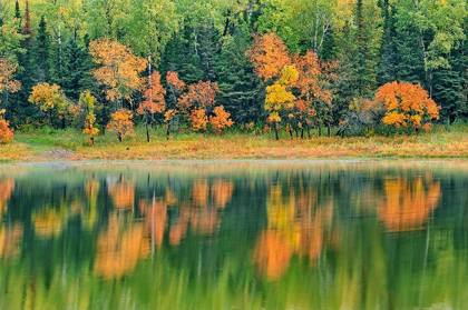 Picture of CANADA-ONTARIO-KENORA DISTRICT FOREST AUTUMN COLORS REFLECT ON MIDDLE LAKE