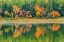Picture of CANADA-ONTARIO-KENORA DISTRICT FOREST AUTUMN COLORS REFLECT ON MIDDLE LAKE